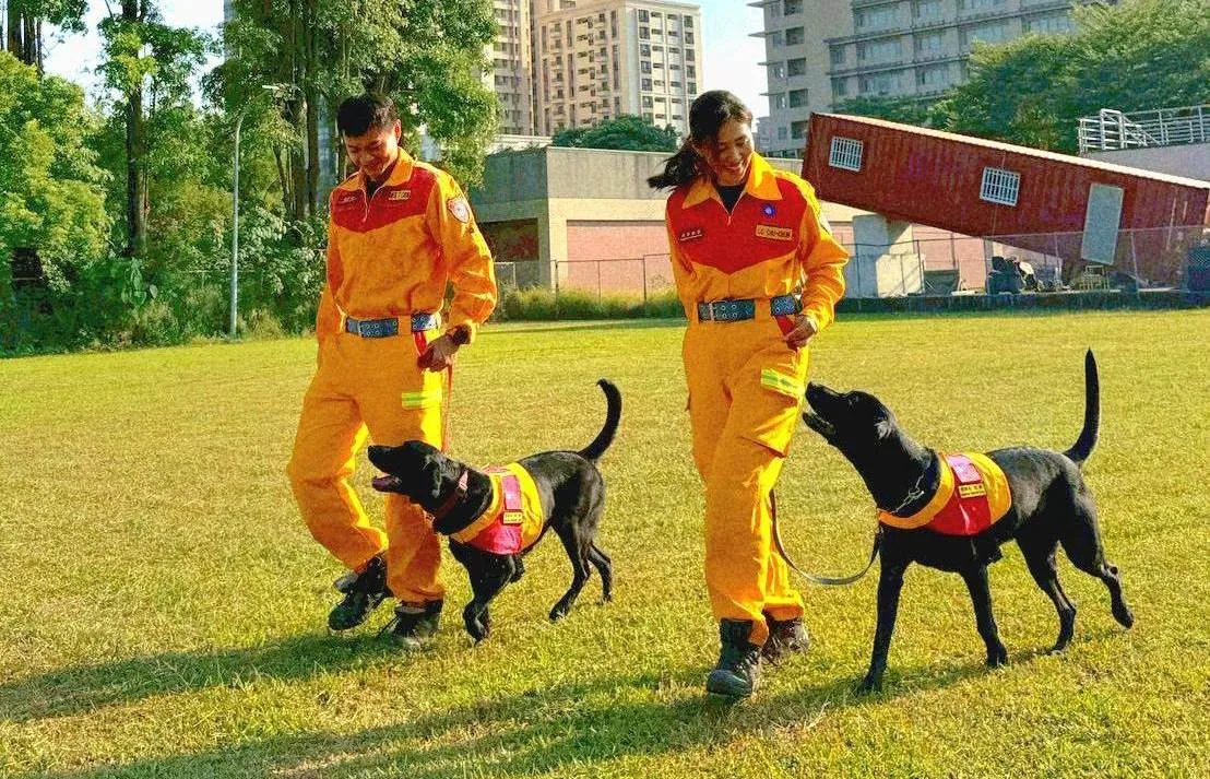 基隆市消防局特種搜救隊中2隻搜救犬Clint(克林)、Candice(坎蒂斯),10月中旬順利通過國際搜救犬組織A級(RH-TA)評量。基隆市政府提供