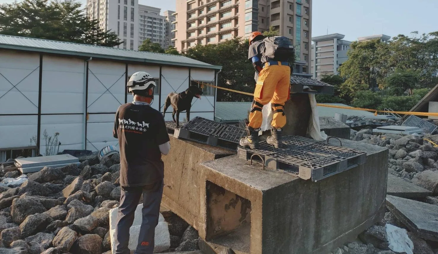 模擬大型災害現場瓦礫推中找尋人員氣味。基隆市政府提供