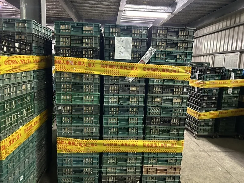 彰化文雅畜牧場雞蛋被檢出芬普尼,彰化縣政府10日再採樣送驗雞蛋及雞隻羽毛仍驗出;將依法裁罰新台幣12萬元。彰化縣政府提供