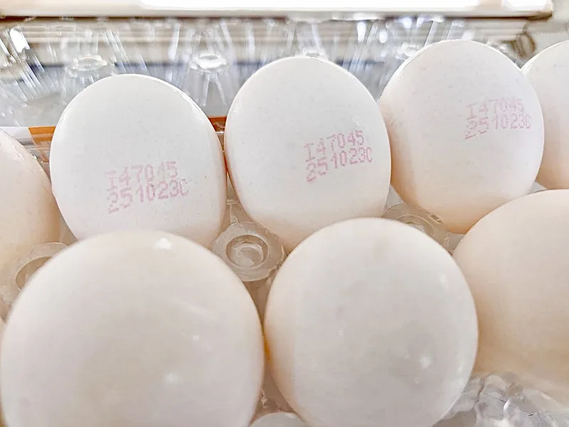 彰化縣政府配合中央政府抽驗，於縣內畜牧場出貨至鮮健洗選蛋場販售的「鮮健蛋品洗選蛋（白殼雞蛋）（有效日期114.11.27、溯源標示：I47045-251023C）」檢出芬普尼代謝物0.03ppm，農藥殘留不合格。彰化縣政府提供