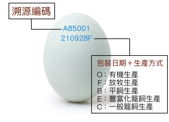 社團法人中華民國養雞協會說明雞蛋噴印上的資訊。中華民國養雞協會提供