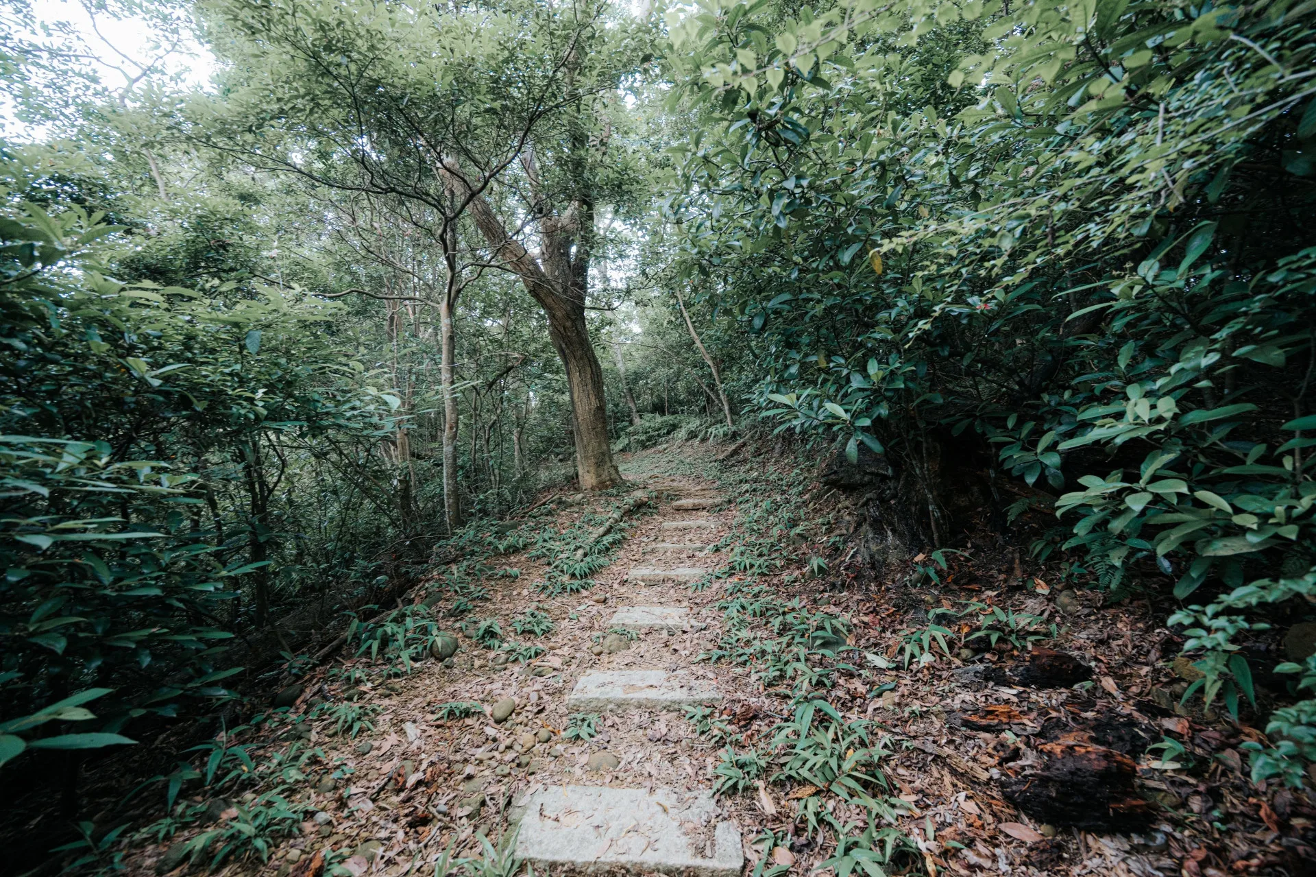 石光古道。新竹縣政府提供