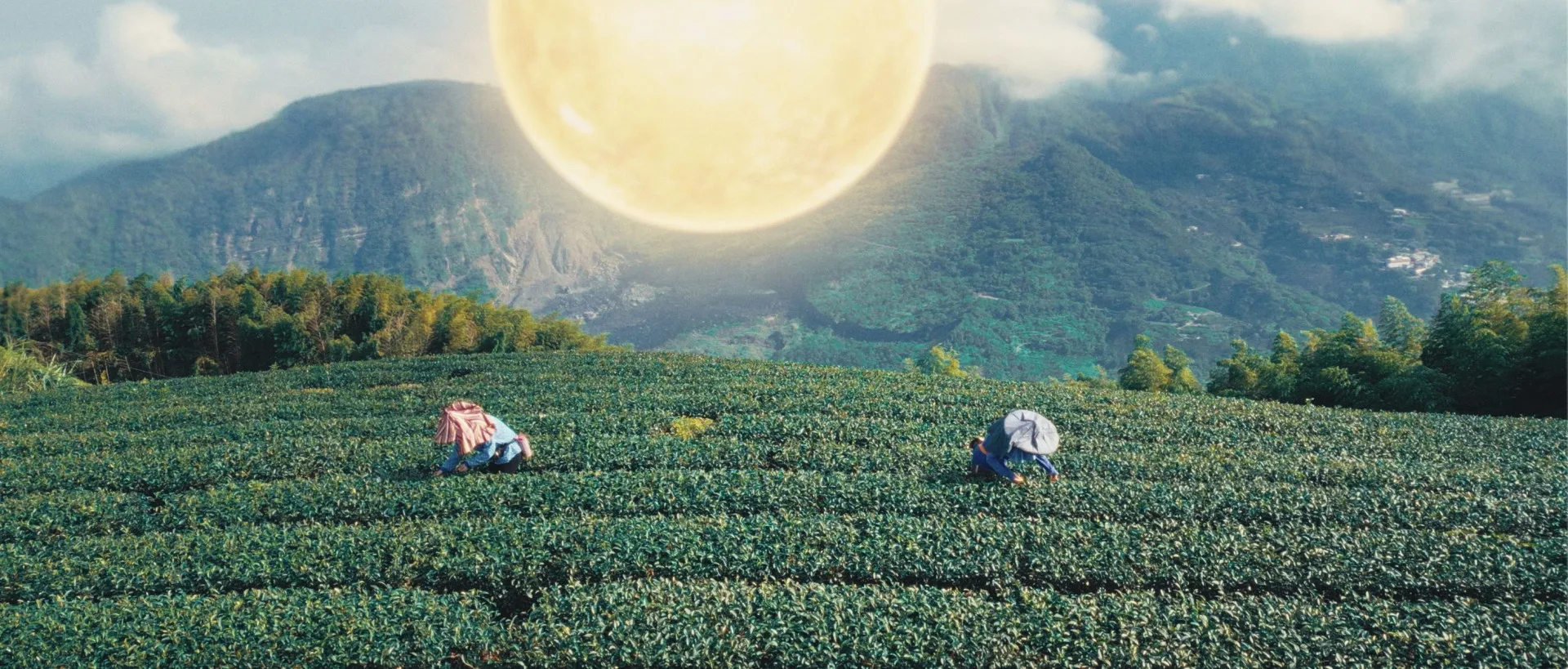 2026台灣燈會「太陽之都ｘ嘉義人」形象影片截圖。嘉義文觀局提供