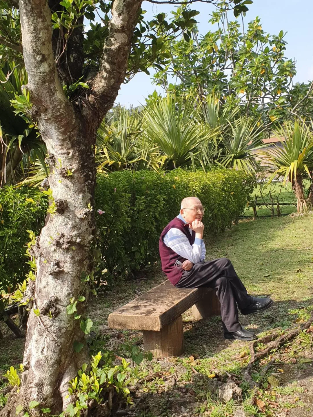 陳耀昌。翻攝陳耀昌FB