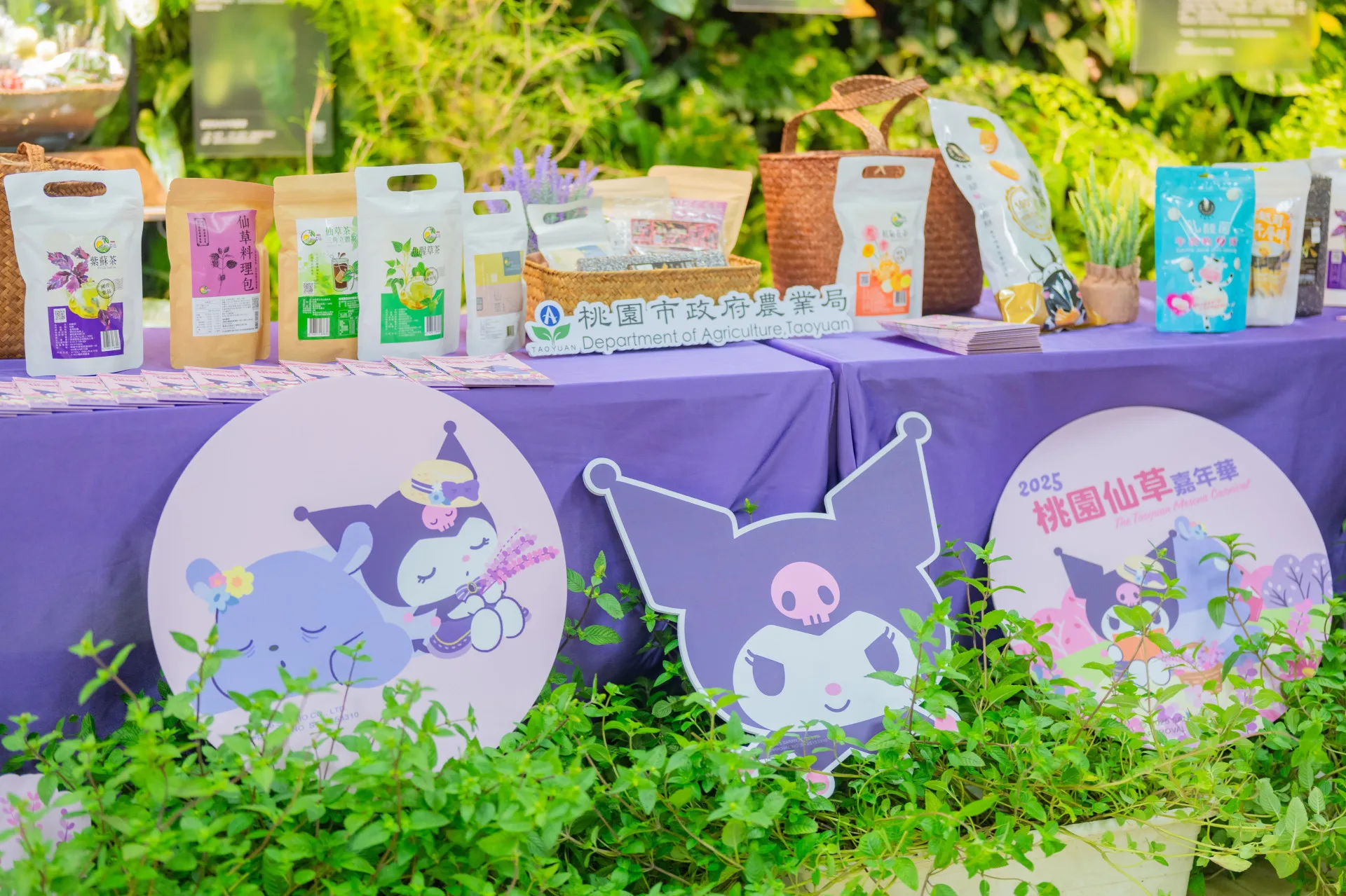 桃園仙草嘉年華今年結合三麗鷗人氣角色庫洛米,打造夢幻花海與萌趣打卡點。桃園市政府提供