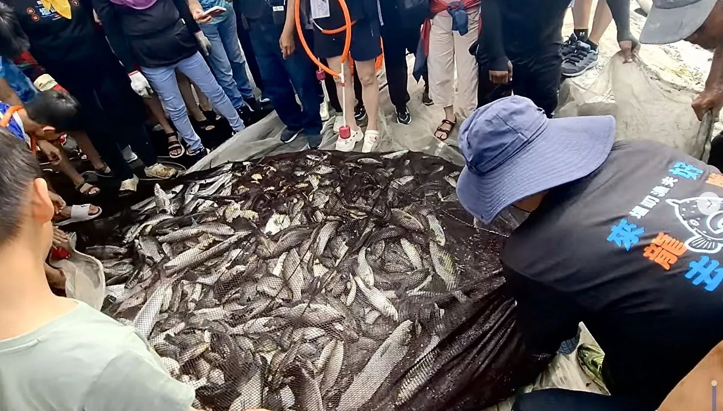 牽罟活動。屏東縣政府提供