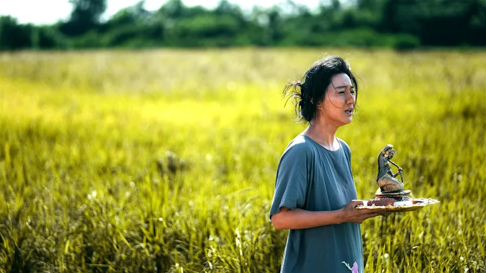 范冰冰在電影《地母》帶來突破性的演出。海鵬影業提供