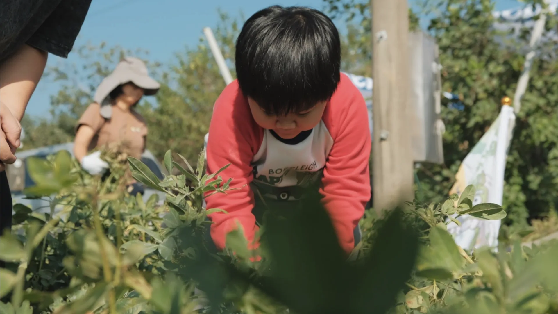 孩子們親身體驗挷地豆(bangˇ ti teu,詔安腔,拔花生),認識土地、感受貓兒干村的魅力。貓兒干村鄉下野生活 提供