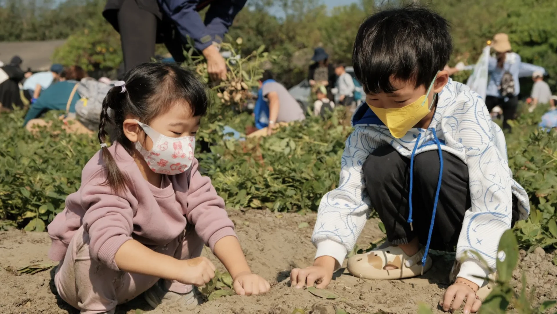 孩子們親身體驗挷地豆(bangˇ ti teu,詔安腔,拔花生),認識土地、感受貓兒干村的魅力。貓兒干村鄉下野生活 提供