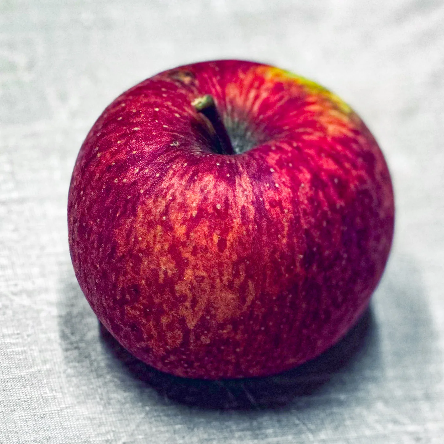 世界上最美的蘋果。蕭秀琴攝