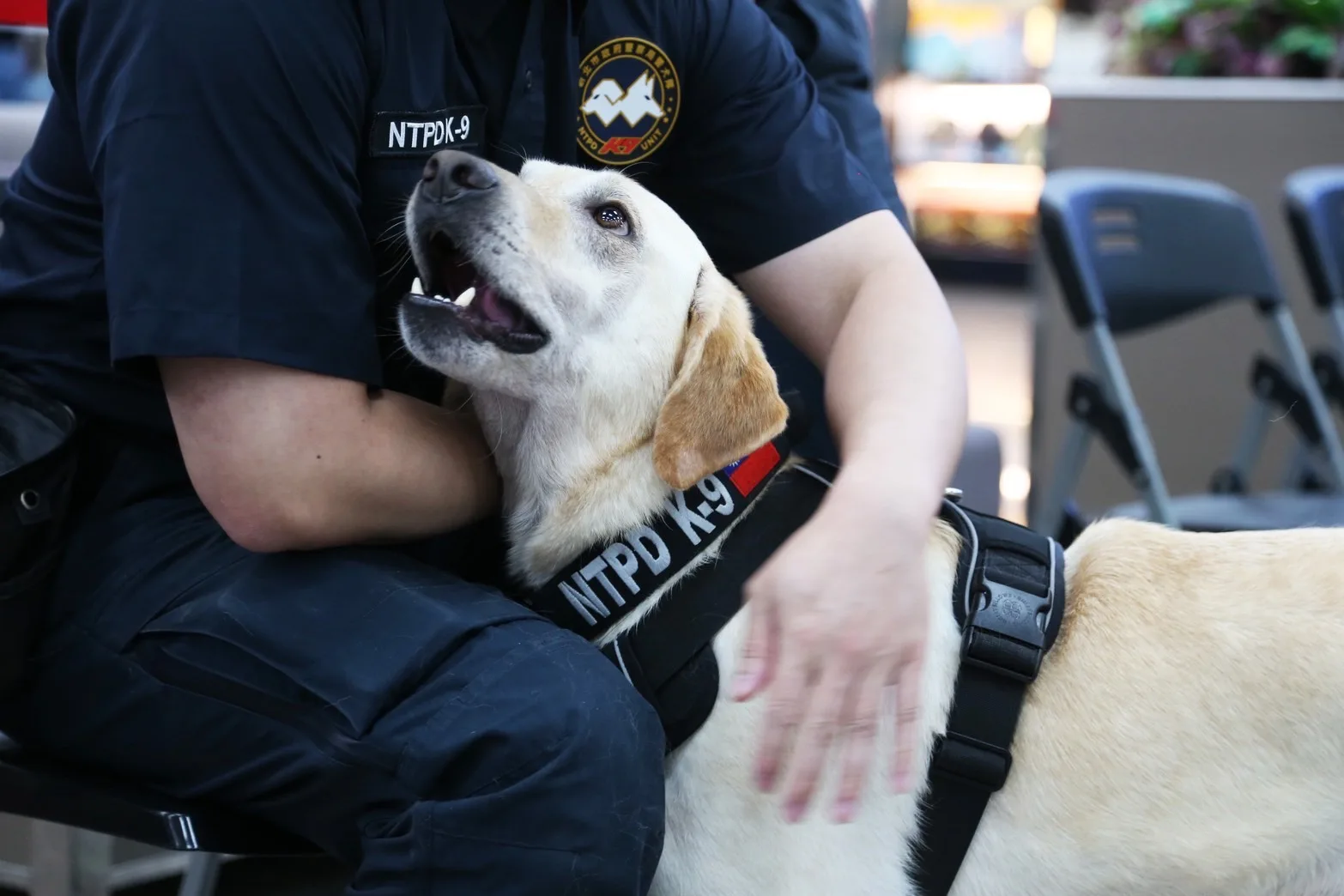 截至2025年3月底，全國有292隻執勤犬，包括：檢疫犬、緝毒犬、警犬、搜救犬、國防軍犬、偵搜犬。農業部提供