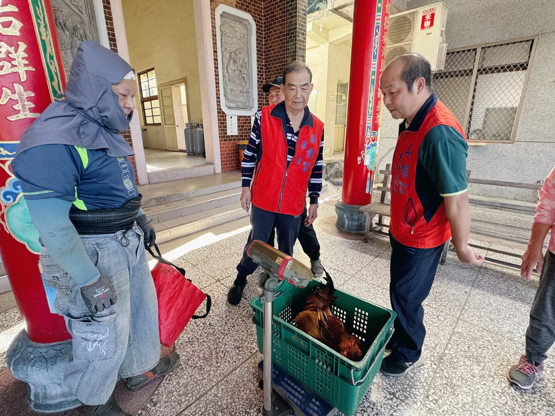 丹桂宮收冬戲閹雞比賽,首次採取活雞秤重。滾回家提供