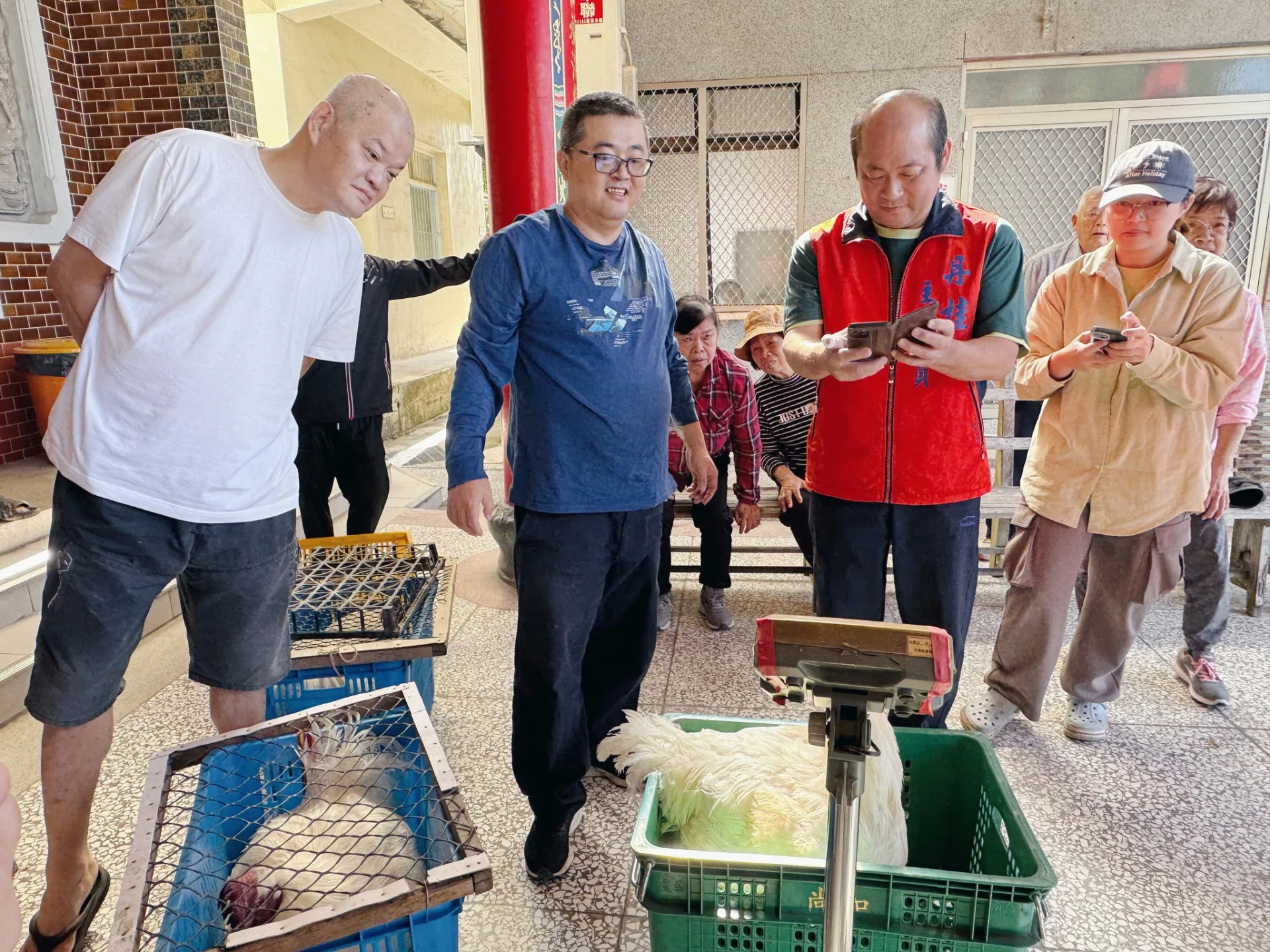 拜拜的前一天,首次以活雞秤重,大家都覺得很新鮮。滾回家提供