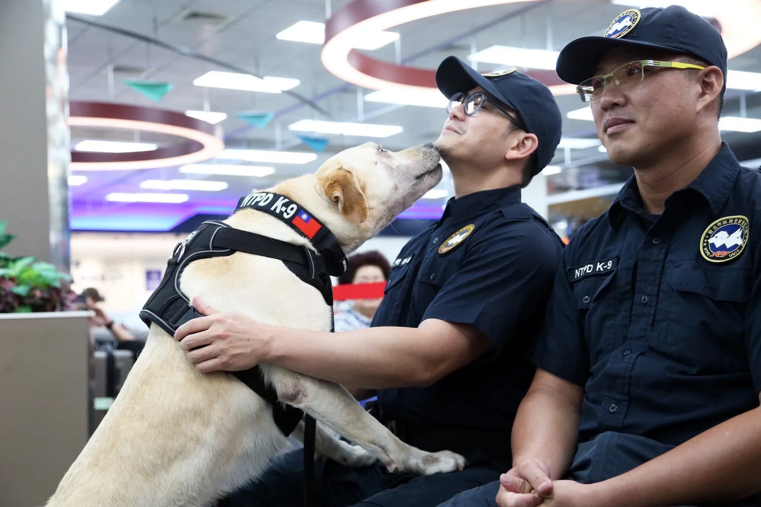 搜救犬是台灣防災韌性重要支柱，面對地震、風災及人為災難，搜救犬都能在最短時間深入危險區域找到受困者。圖為執勤犬與領犬員互動。農業部提供