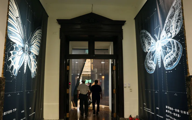 「島嶼飛行-台灣蝶蛾生存記」特展集結近300件蝶蛾標本,並搭配高畫質生態影像與互動裝置,帶領觀眾探索蝶與蛾的繽紛世界。中央社