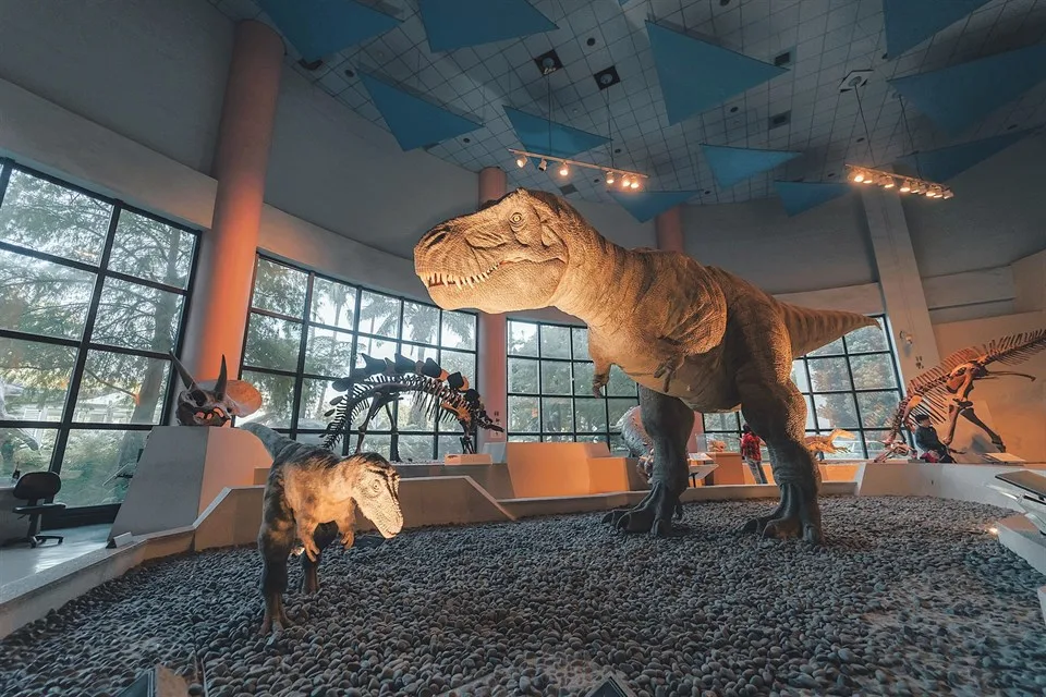 科博館推出自115年起全年每週五下午2時至5時開放展示場免費參觀。觀光署提供