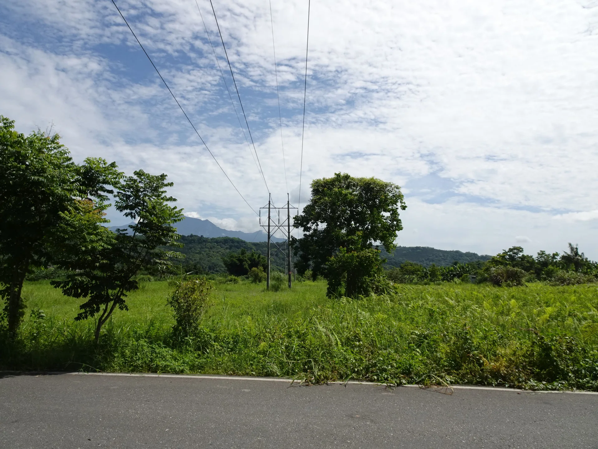 花蓮縣壽豐鄉政明段土地。花蓮分署提供