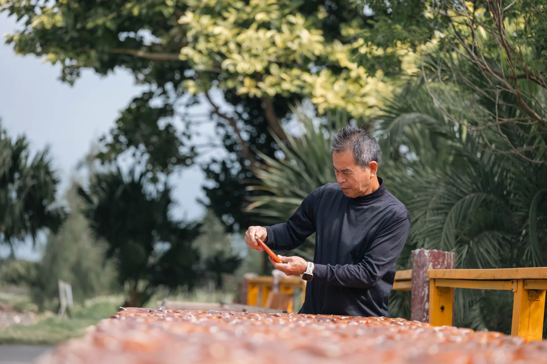 每年秋冬「九降風」起，是烏魚豐收的季節。翻攝自竹縣休閒農遊好好玩臉書粉絲專頁