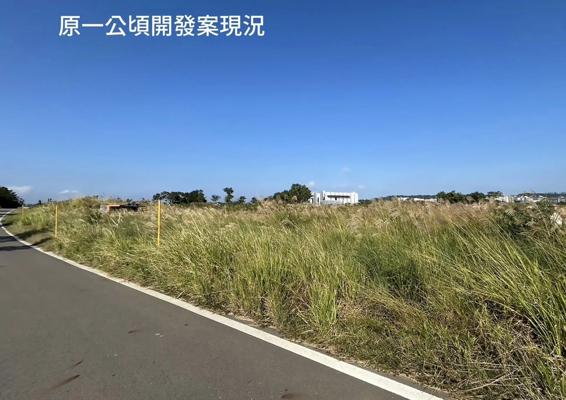 原第三公墓一公頃開發案現況。苗栗市公所提供