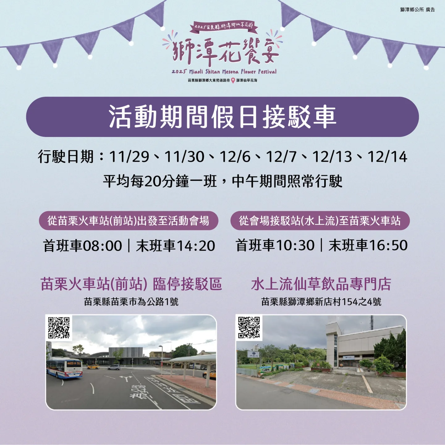 2025獅潭仙草花季交通接駁資訊。