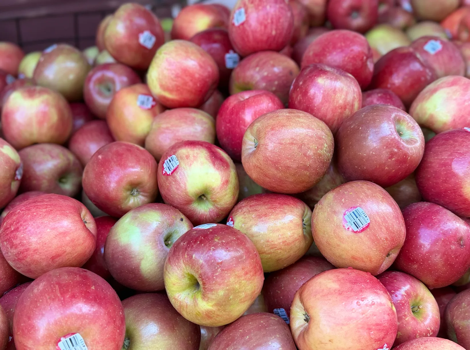 台灣進口蘋果都有貼標籤，現在市場上最便宜的五爪長這樣。蕭秀琴提供