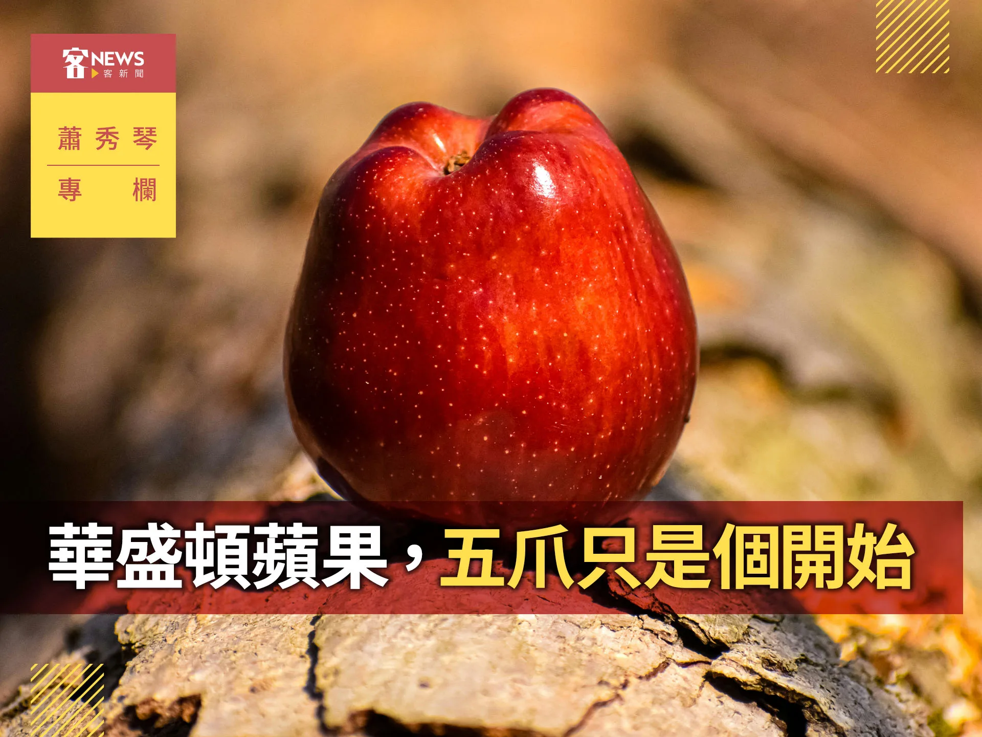 蕭秀琴專欄／華盛頓蘋果，五爪只是個開始