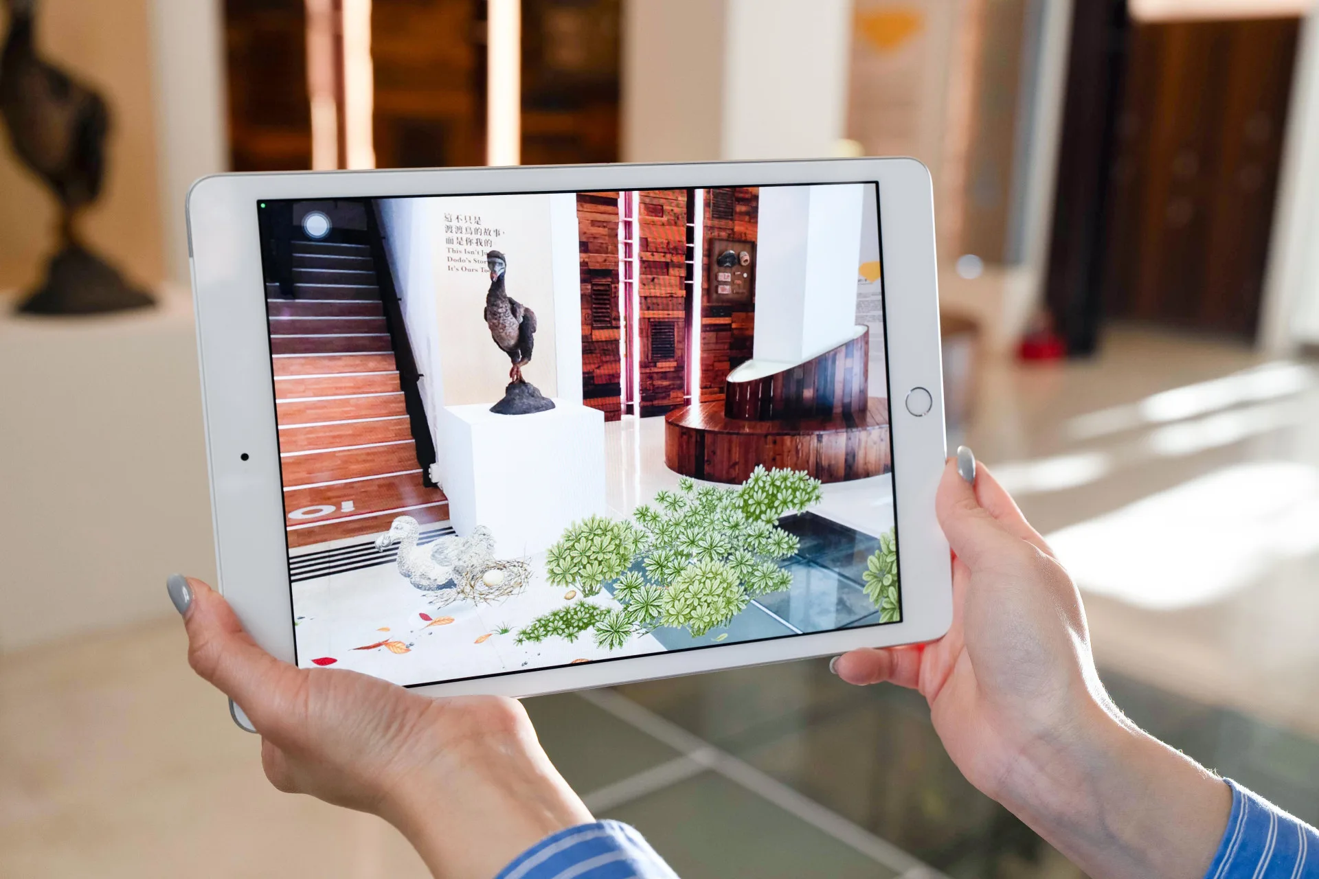 展覽運用沉浸式AR科技，透過互動裝置讓觀眾彷彿親眼見證渡渡鳥、臺灣雲豹等已滅絕物種的「再現」。臺博館提供