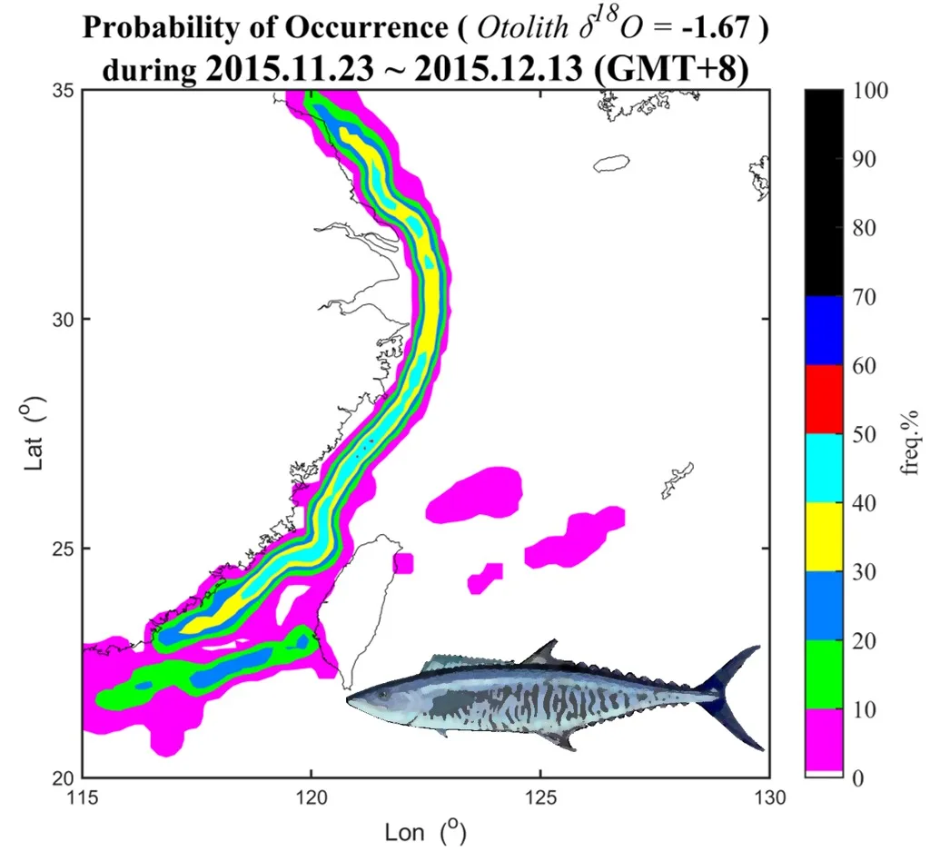土魠魚2015年11月23日至12月13日洄游分布估計結果。