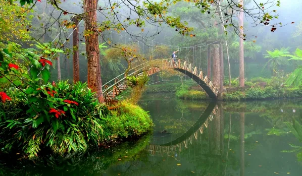 溪頭大學池。翻攝溪頭自然教育園區