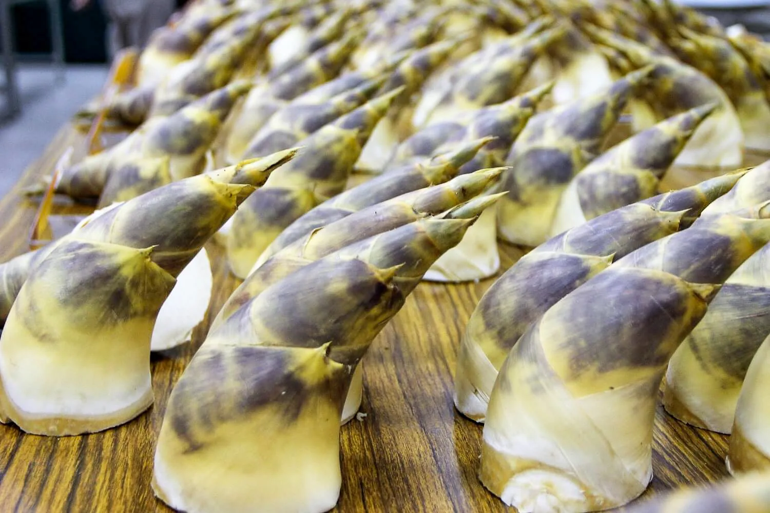 綠竹筍是台灣筍農的最大經濟來源，綠竹筍最貴時，可賣到一斤二百元。桃園農改場提供