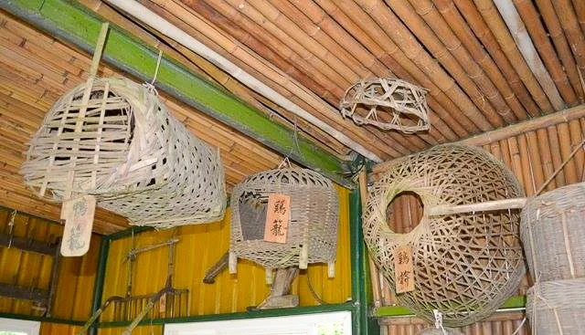 桂竹用途極廣，既可編製竹簾、竹籃、雞籠、豬籠，也能做竹椅、竹簍，是早年客家家庭必備的生活器具。陳權欣攝