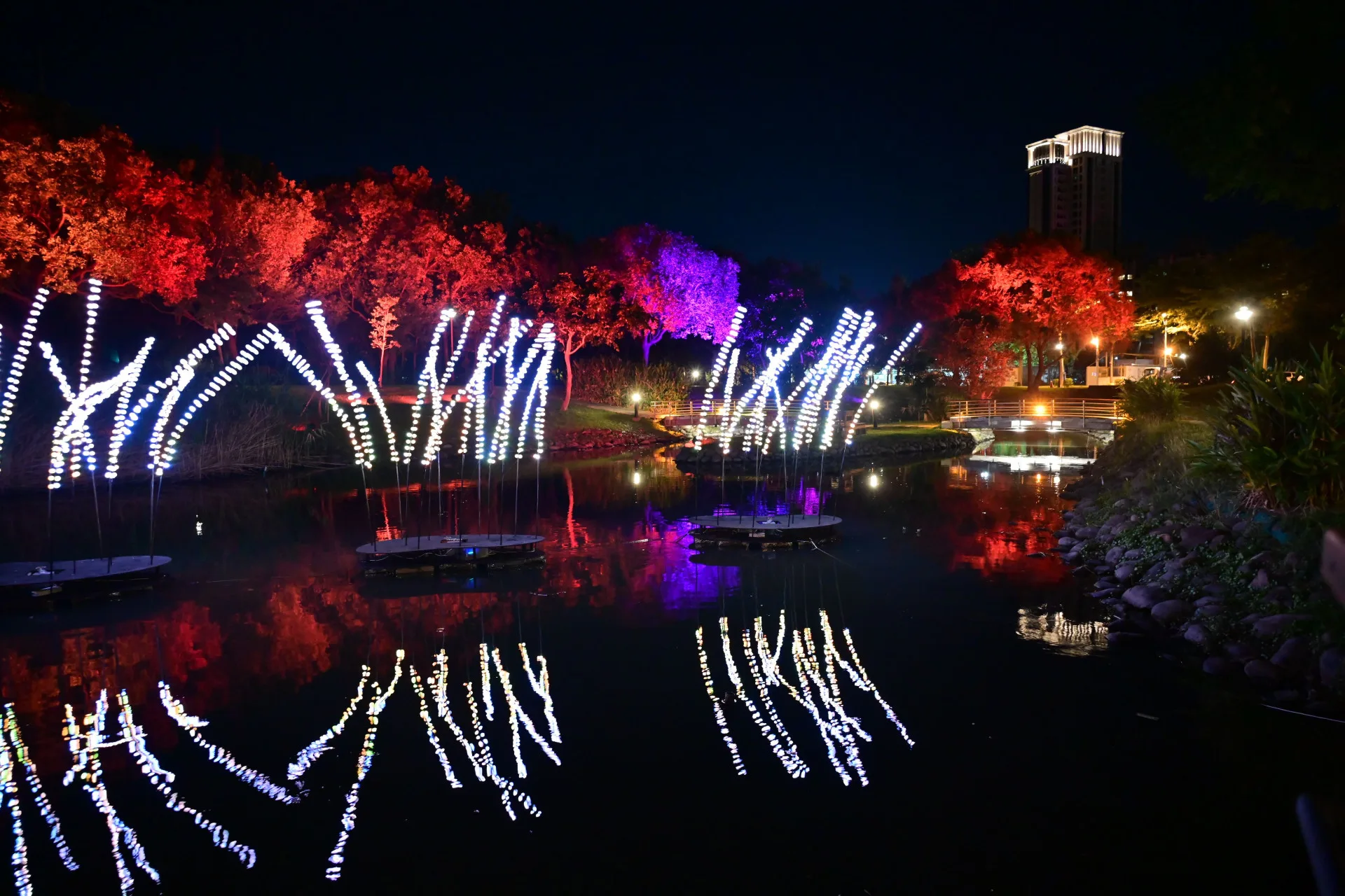 浪漫的光影藝術裝置沿著東興圳水岸閃耀,陪伴民眾度過耶誕節與跨年。新竹縣政府提供