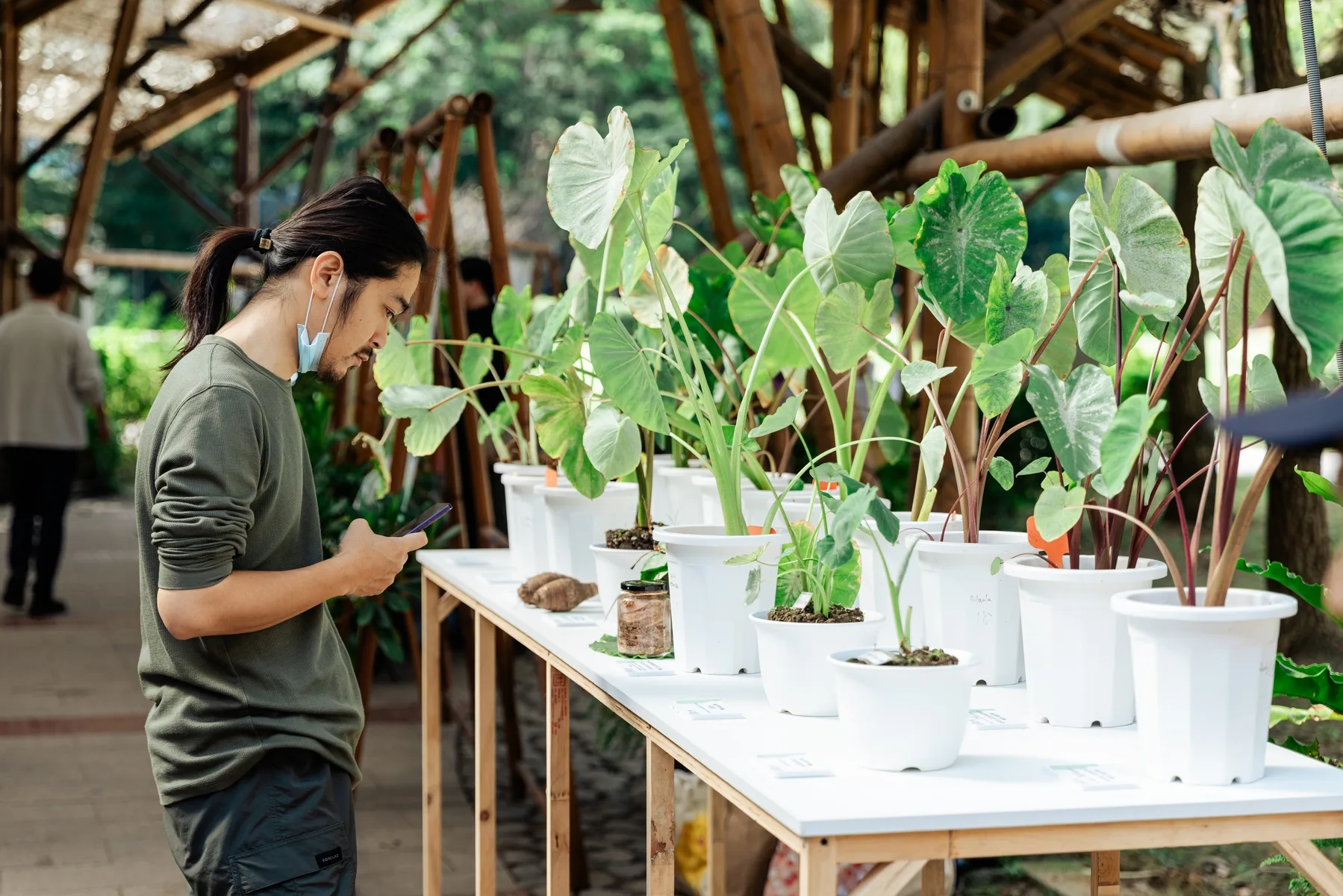 2025種子生活節將於12月6日、7日盛大登場。資料照,北市客基會提供
