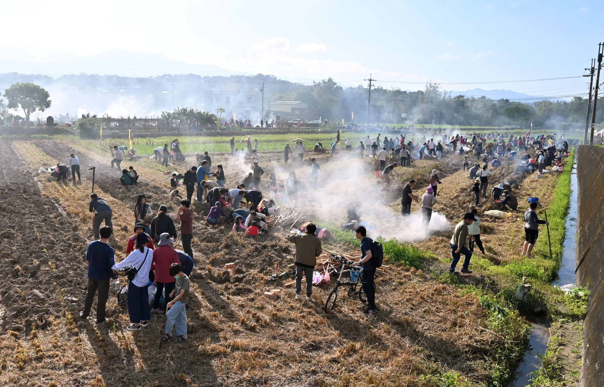 2025頭份千人「焢窯」烤番薯。