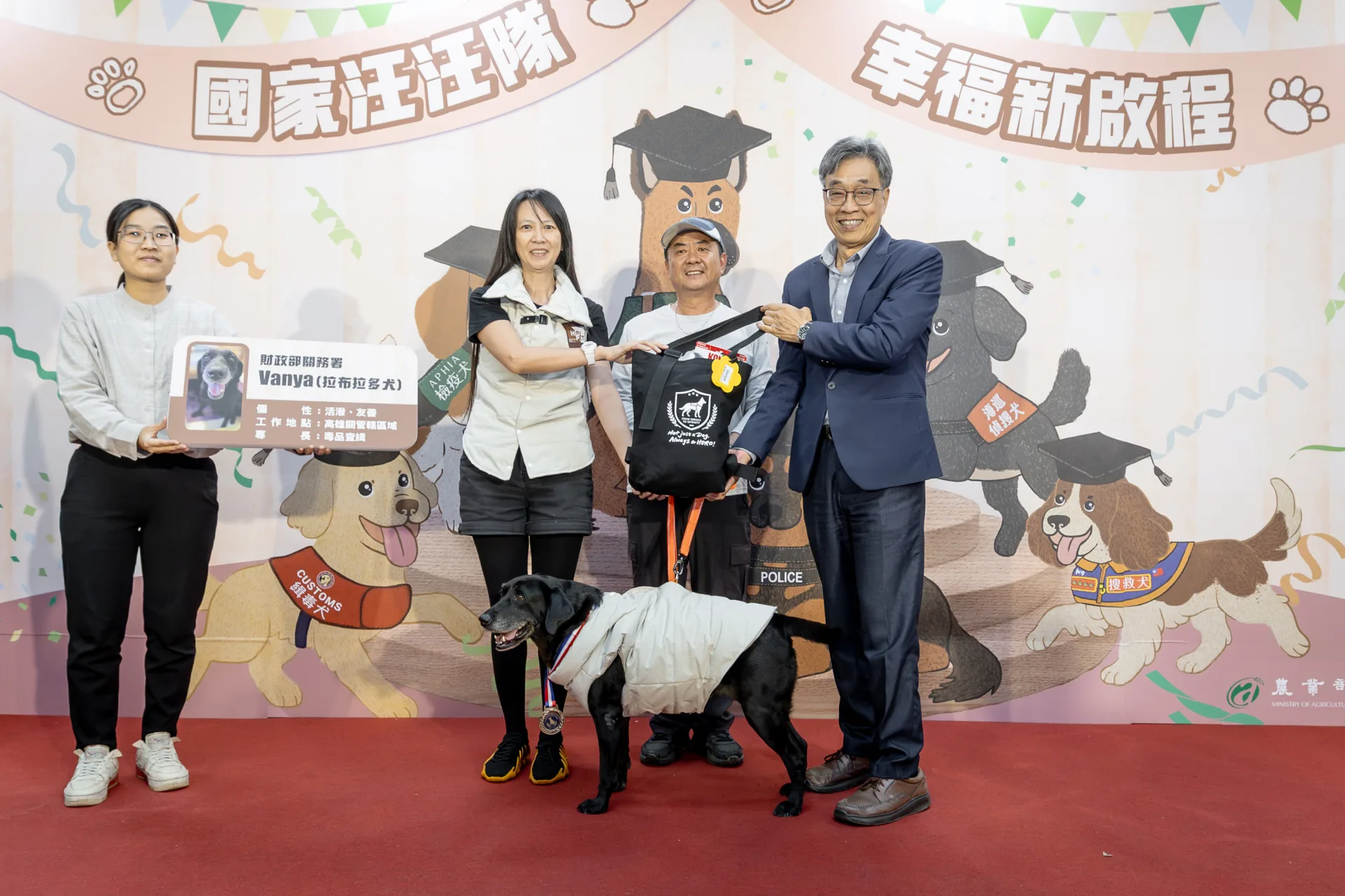 領養9歲退役犬Vanya的飼主表示，家中做足準備迎接Vanya，狗狗與家裡「一拍即合」。農業部提供