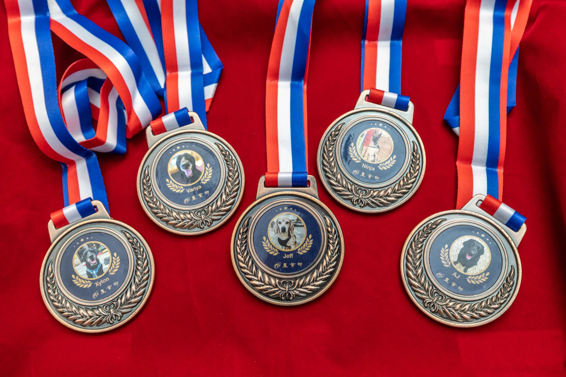 退役犬獎章。農業部提供