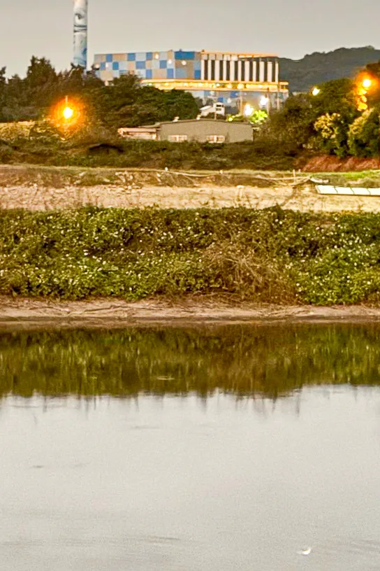 新竹縣焚化爐週邊就是竹北最大的烏魚養殖區。陳權欣攝