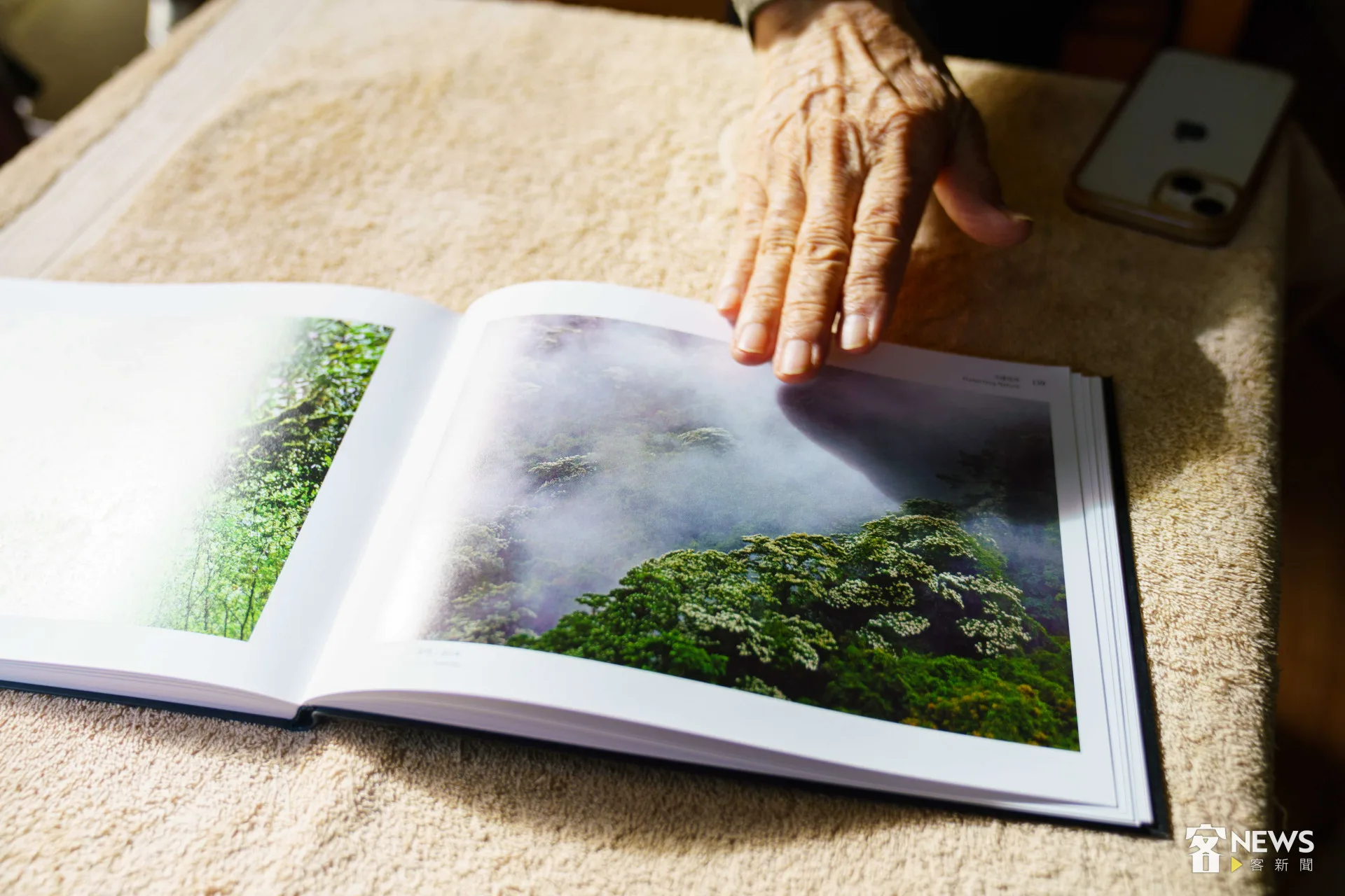 徐仁修所拍攝的油桐花。李台源攝