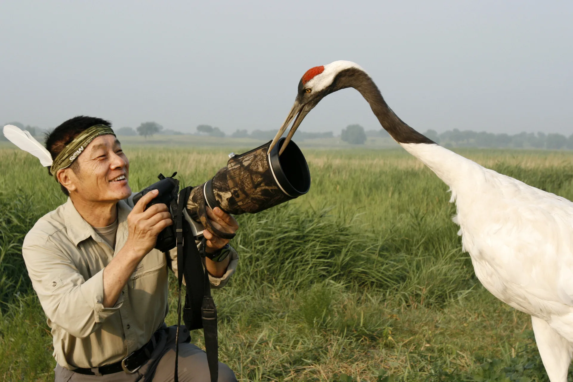 著名的丹頂鶴咬鏡頭照片，由徐仁修的學生拍攝。徐仁修提供