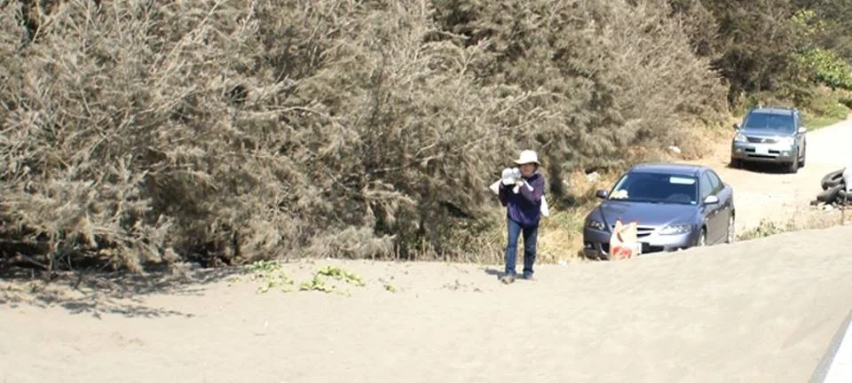 張太太自已背著一包重卅斤的飼料，走在海邊砂地上是非常苦。 陳權欣攝