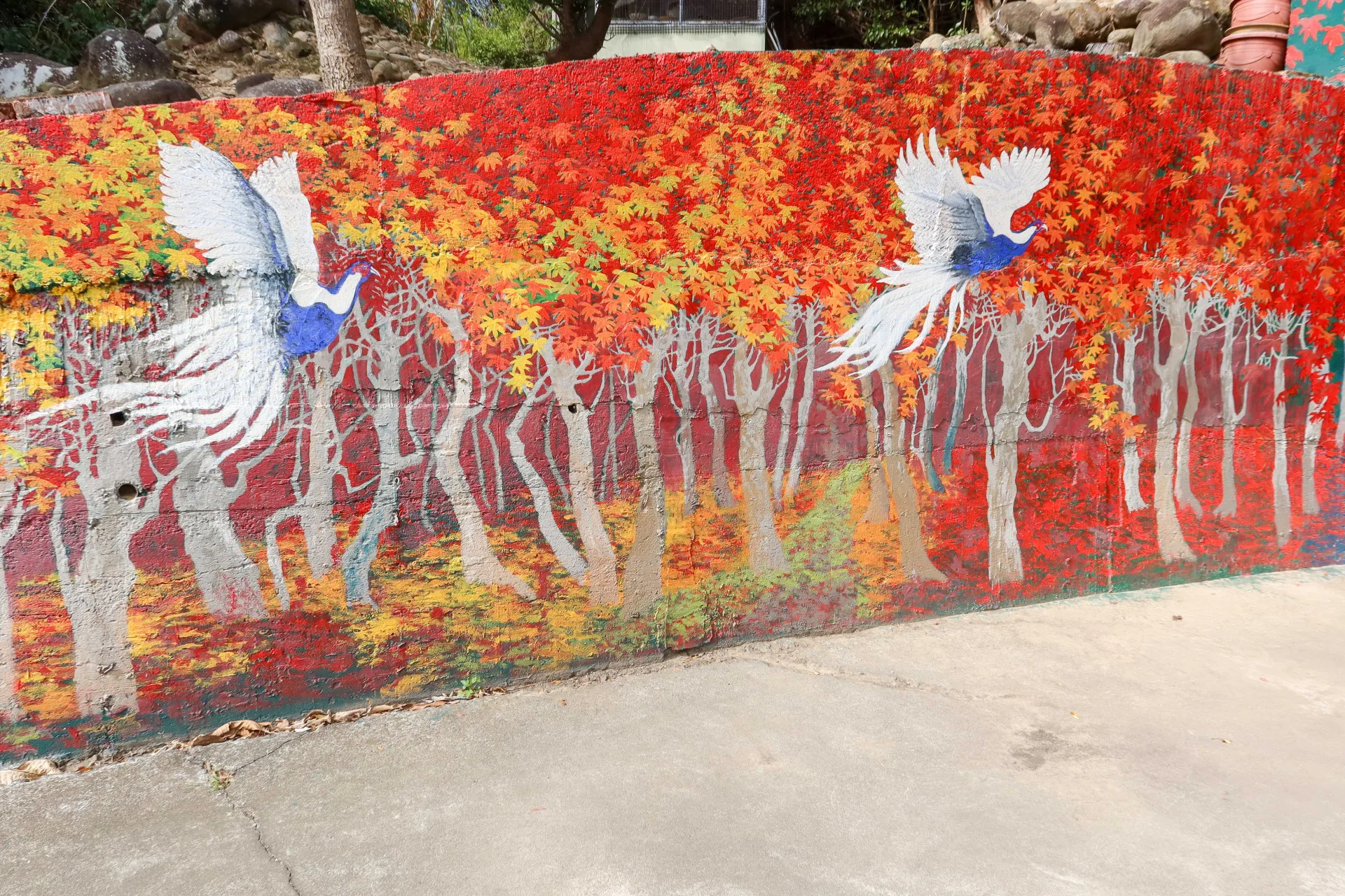 于傳騏在水泥牆繪的雙鶴齊飛，栩栩如生。何來美攝