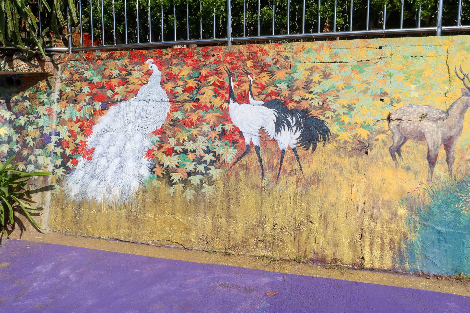 秋天是豐收的季節，松鶴、梅花鹿、孔雀漫步在金黃大地。何來美攝