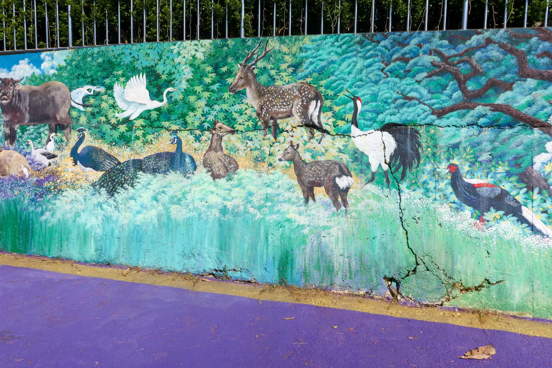 夏季水草已豐，梅花鹿、藍鵲、帝雉、野兔與耕牛、白鷺鷥在大地上共存共榮，一片和諧。何來美攝