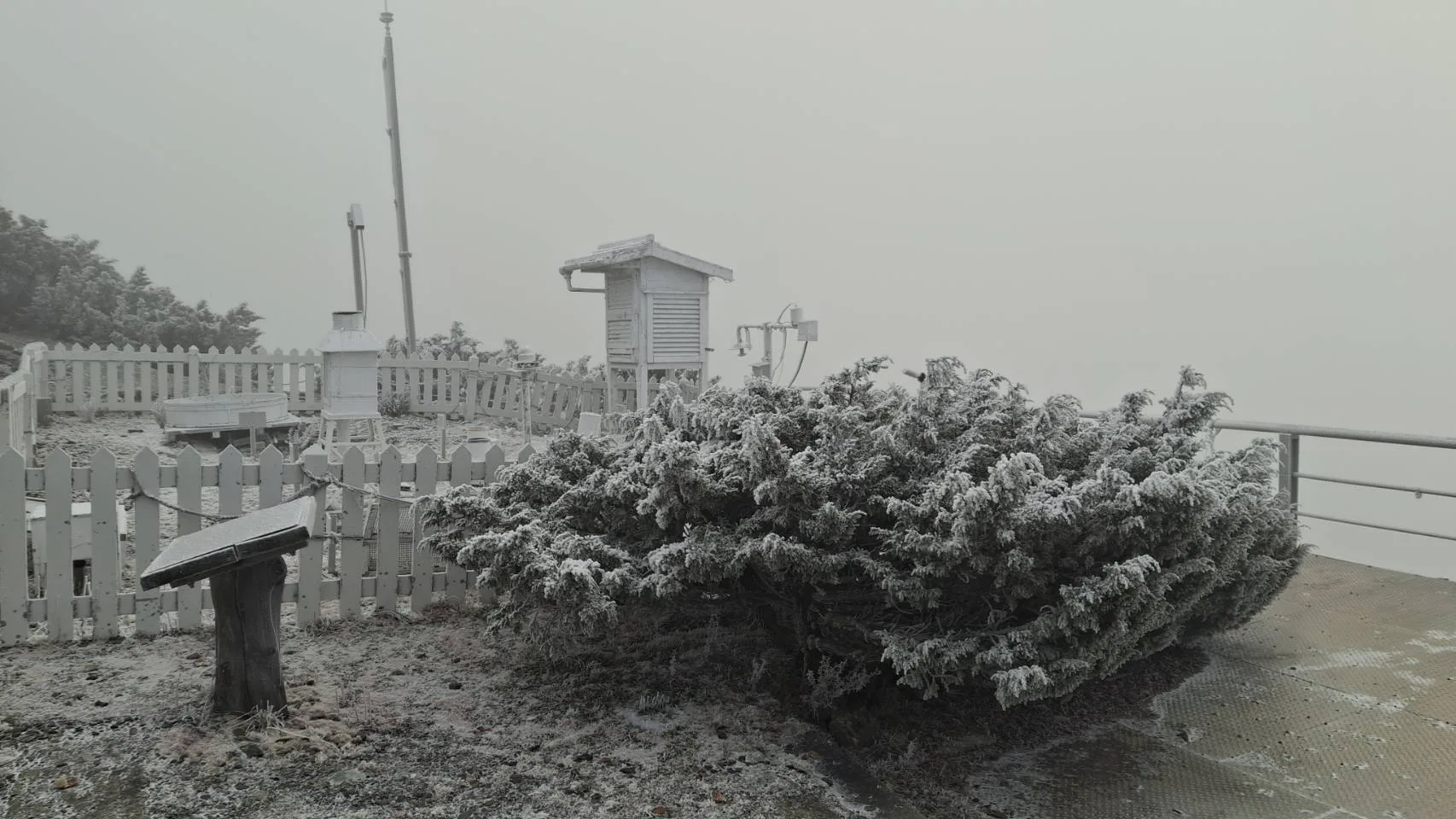 玉山下雪。氣象署提供