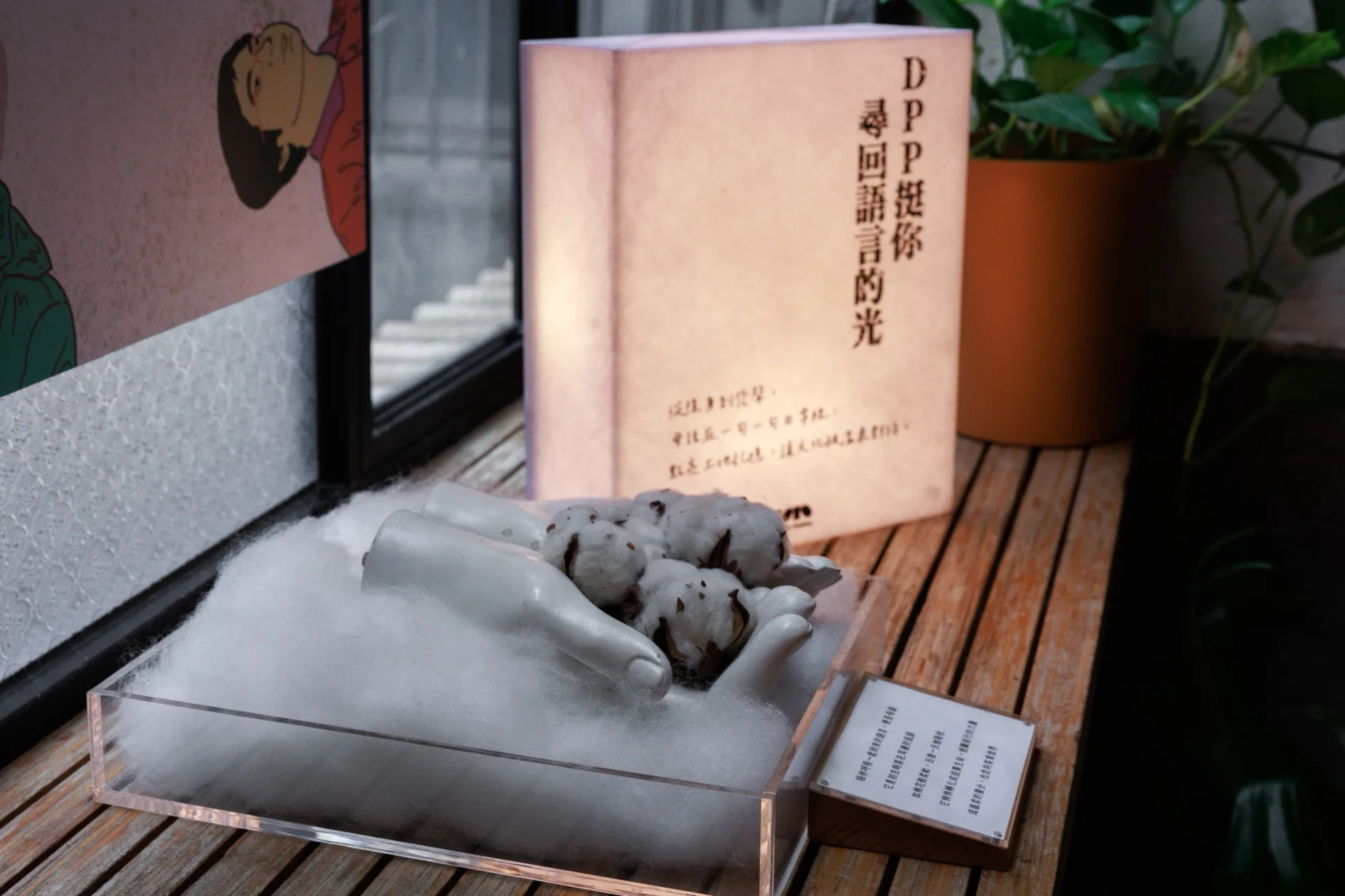 民進黨舉辦「DPP挺你・尋回語言的光」策展。民進黨提供