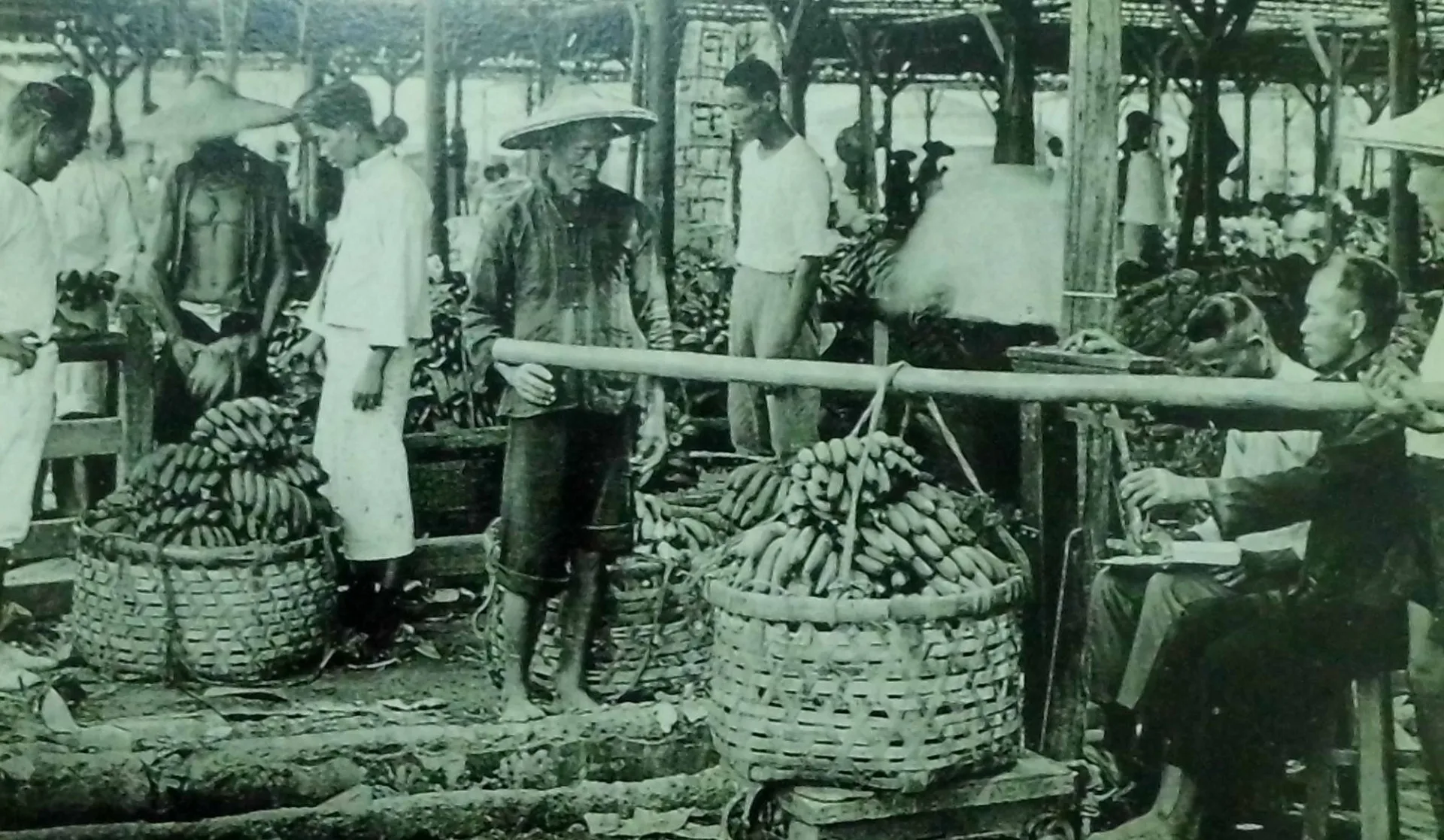 台灣曾是世界知名的香蕉王國。日治時期，全島設有24座香蕉檢驗所，品質嚴格、遠銷日本。謝森展提供