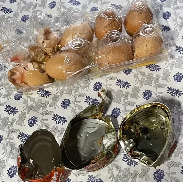 台灣黑熊進入阿里山鄉達邦村工寮食用雞蛋、罐頭。嘉義分署提供