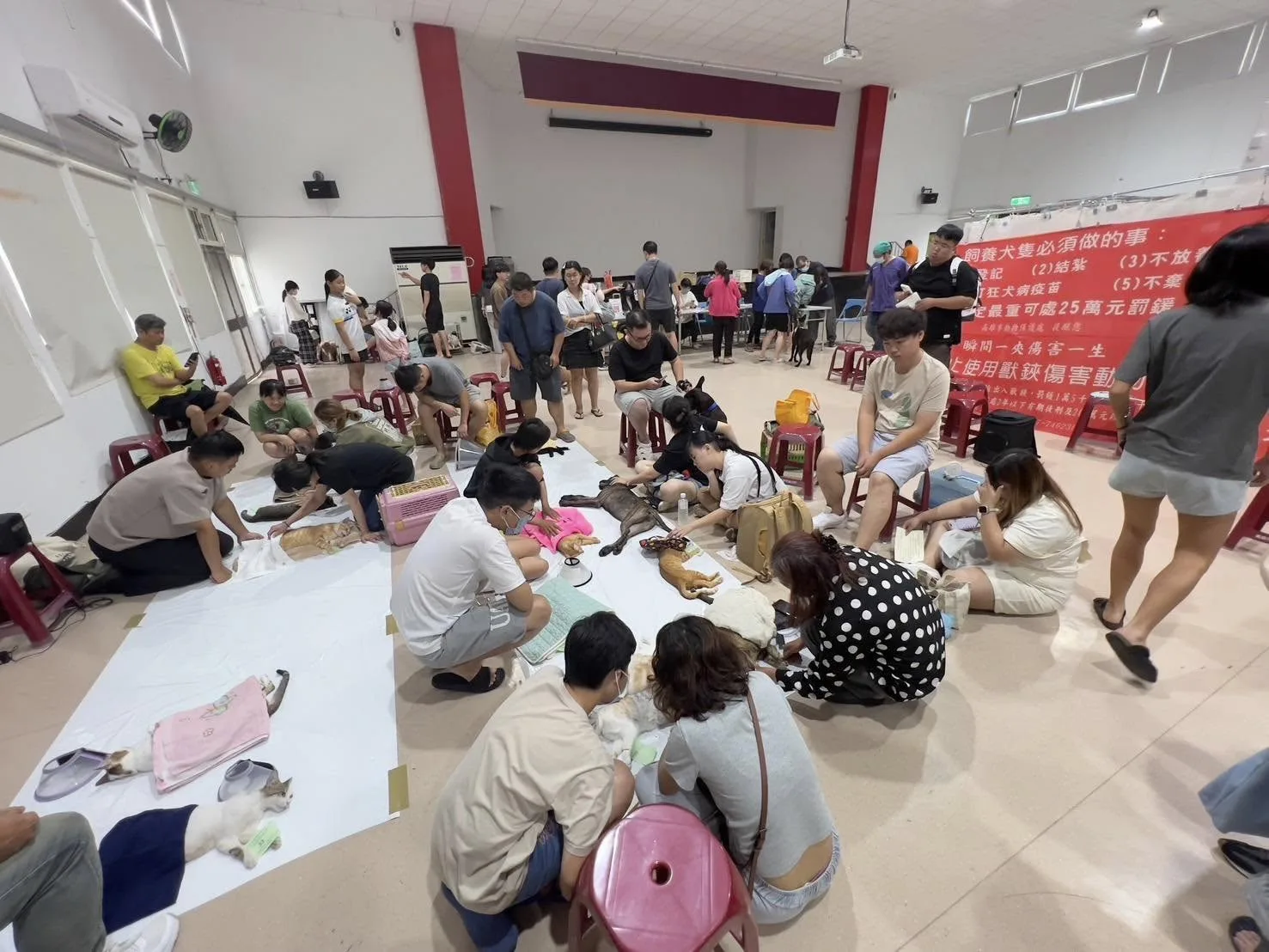 高雄市動保處統計,去(2025)年合計補助8412隻犬貓完成絕育手術。翻攝自高雄市動保處 臉書