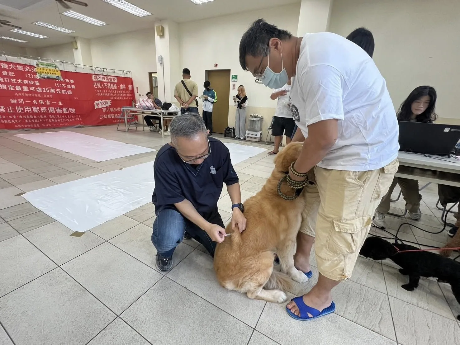 近3年高雄市民犬貓絕育補助數量呈現穩定成長趨勢,反映飼主對寵物飼養責任與源頭管理的重視度明顯提高。翻攝自高雄市動保處 臉書