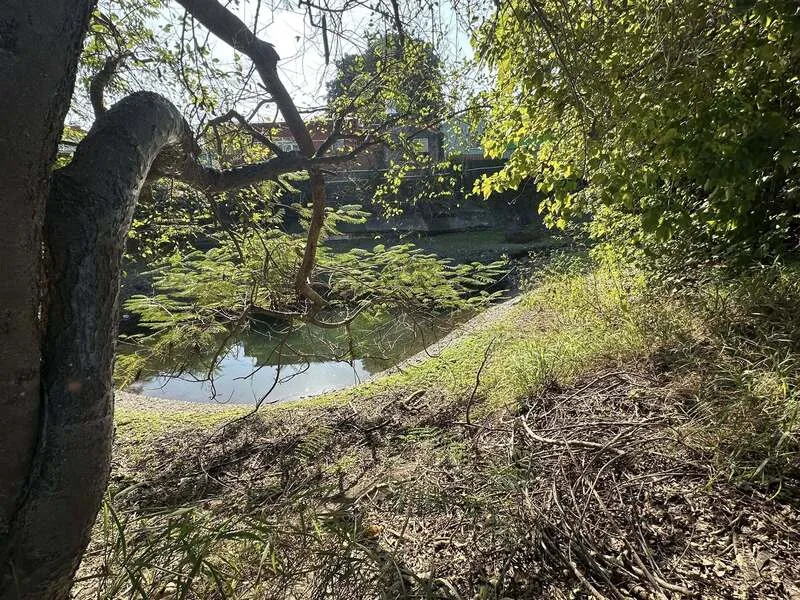 屏東縣佳冬鄉「泉水窟」由天然湧泉蓄積,不僅見證在地開發歷史,也是居民長年戲水去處。屏科大教授盧惠敏提供
